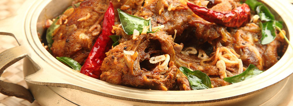 Takeaway Blue Asia TN22
