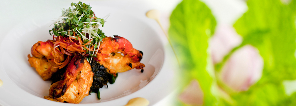 Indian Food Coriander Bangladeshi and Indian Cuisine PO5