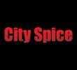 INDIAN takeaway Saint Albans AL1 City Spice logo