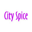 INDIAN takeaway St Albans AL1 City Spice logo