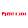 INDIAN takeaway London SE5 Pappadom in London logo