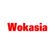 CHINESE takeaway Oldbury B68 Wokasia logo